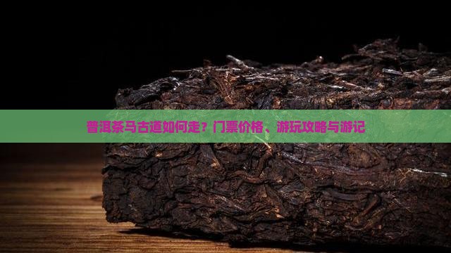 普洱茶马古道如何走