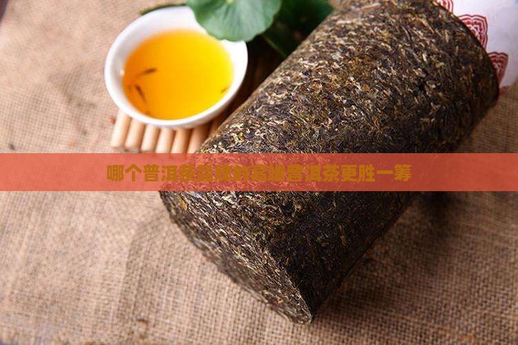 高端普洱茶啥样的好一点