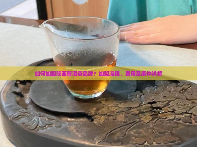 陕西普洱茶如何加盟