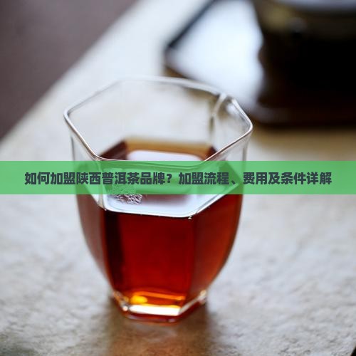 陕西普洱茶如何加盟