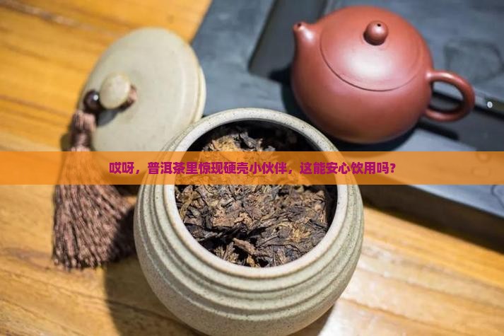 普洱茶里的硬壳虫能喝吗