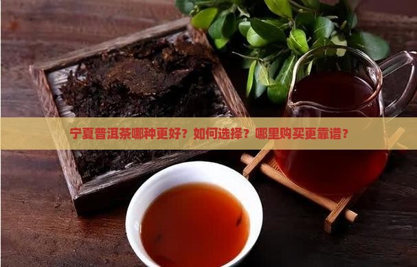 宁夏普洱茶哪个好些啊