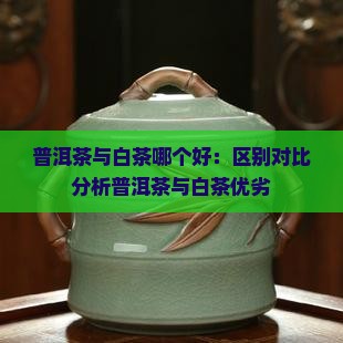 普洱茶与白茶那个好