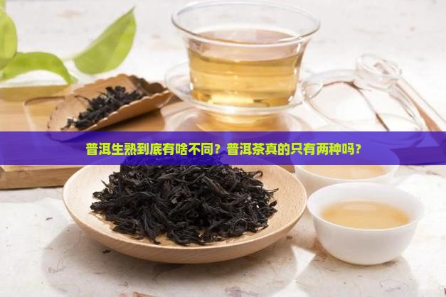 普洱生熟的区别普洱有多少种