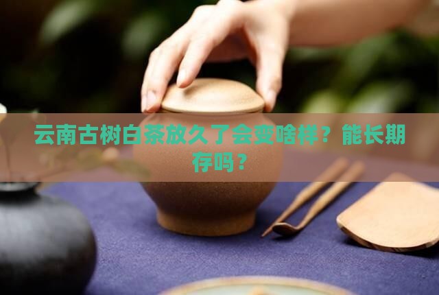 云南古树白茶能长期存放吗