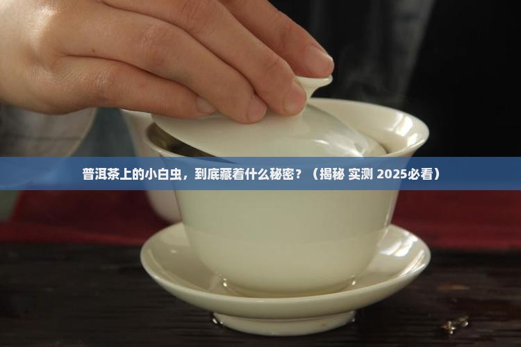 普洱茶有白色的小虫