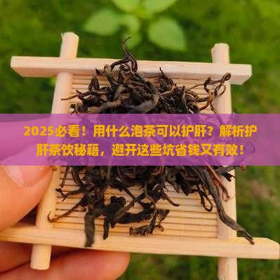 用什么泡茶可以护肝