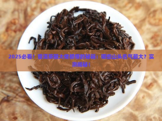 普洱茶目前名气比较大的山头