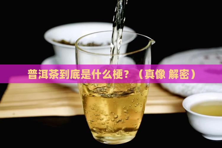 普洱茶是属于什么类型的