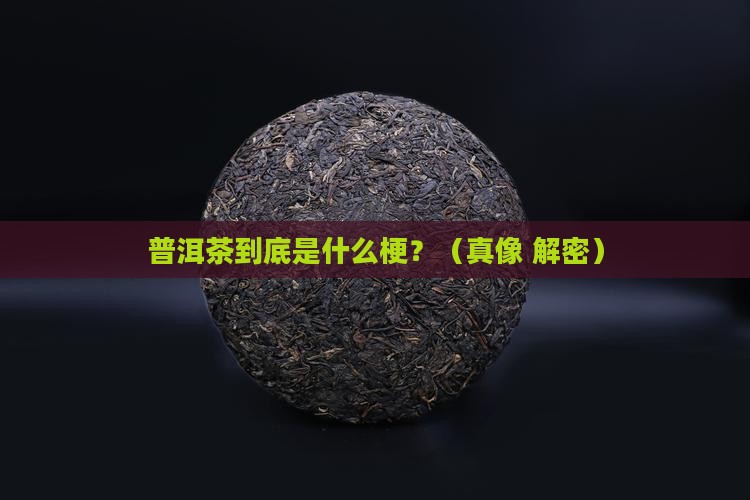 普洱茶是属于什么类型的