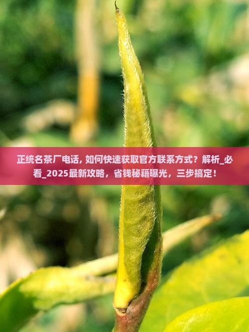 正统名茶厂电话