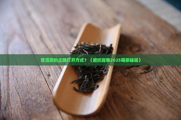 冲泡普洱茶要洗几遍茶杯