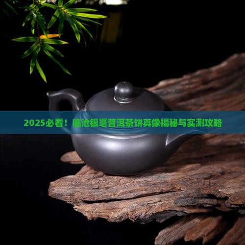 临沧银毫普洱茶饼特点