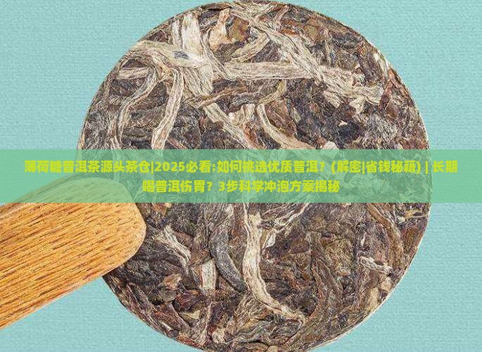 薄荷糖普洱茶源头茶仓