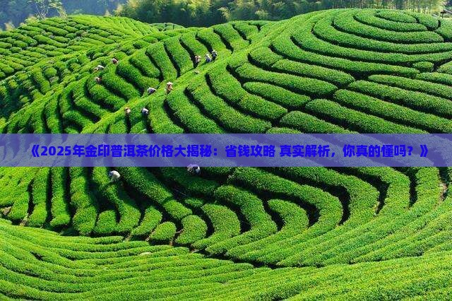 金印普洱茶价格表