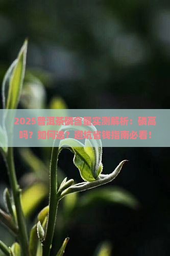 普洱茶的磷高吗