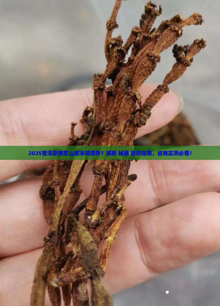 普洱茶饼怎么放冰箱保存