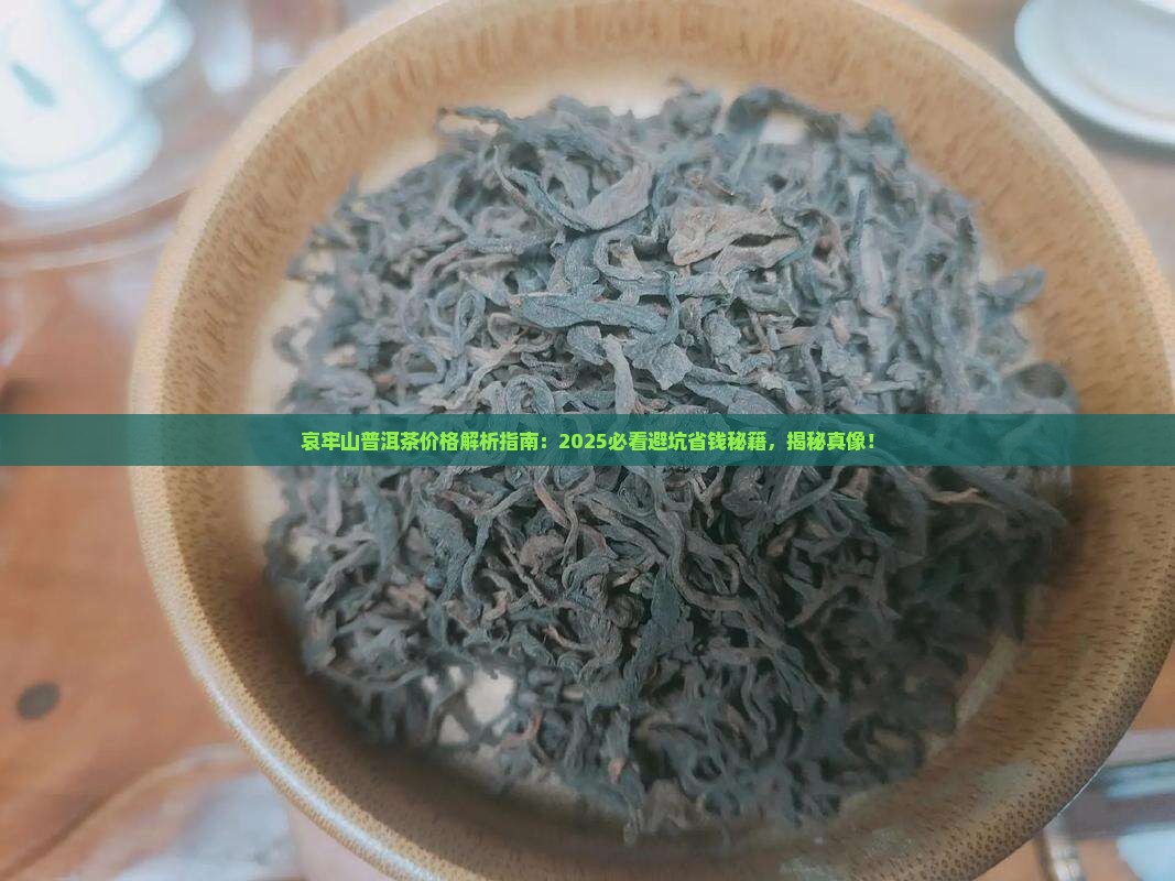 哀牢山普洱茶价格