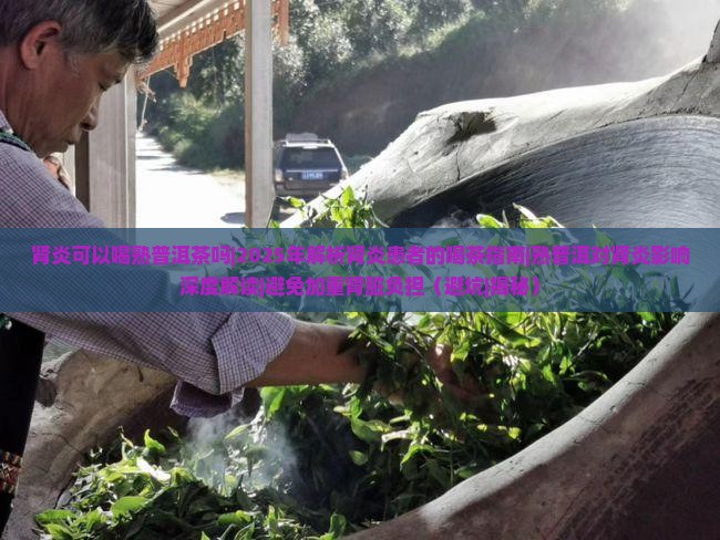 肾炎可以喝熟普洱茶吗