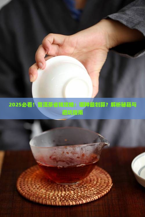 普洱茶哪种最划算