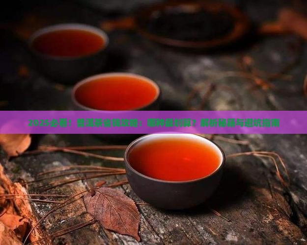 普洱茶哪种最划算