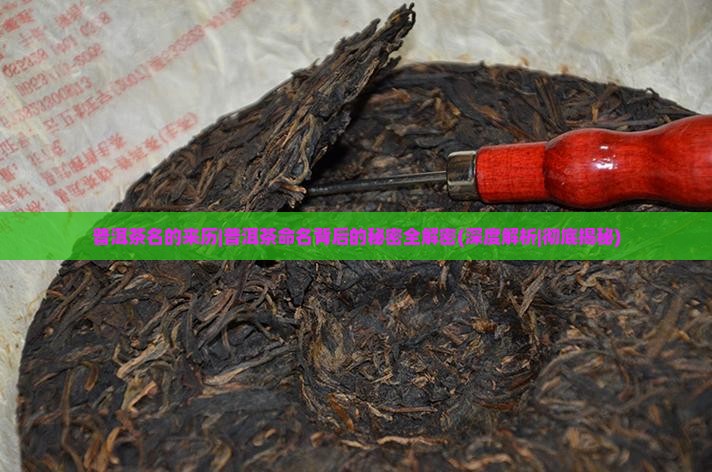 普洱茶名的来历