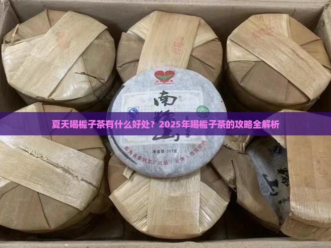 夏天喝栀子茶有什么好处