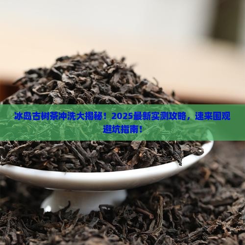冰岛古树茶如何冲洗