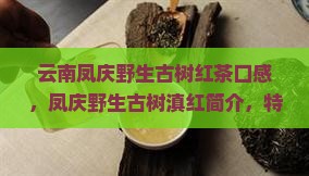 云南凤庆野生古树红茶口感