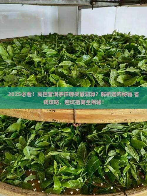高档普洱茶在哪买东西好