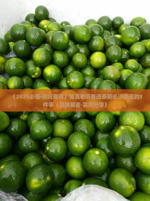 普洱茶老茶客怎么选 普洱茶老茶客怎么选