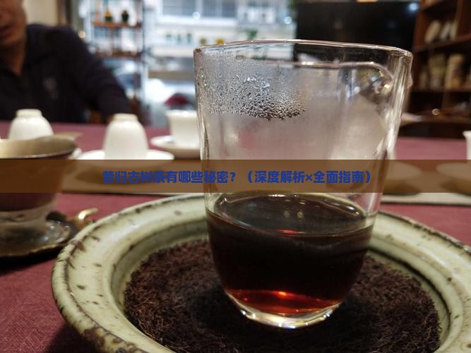 昔归古树茶提问