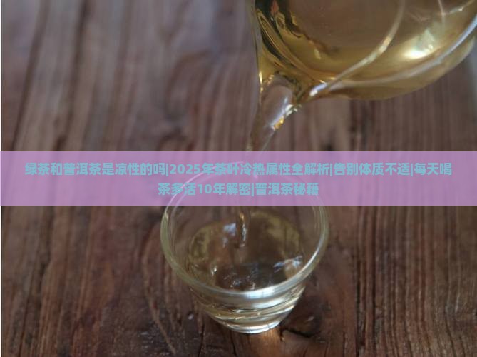 绿茶和普洱茶是凉性的吗
