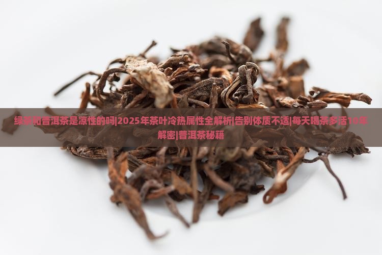 绿茶和普洱茶是凉性的吗