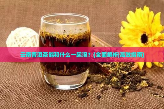 云南普洱茶能和什么一起泡