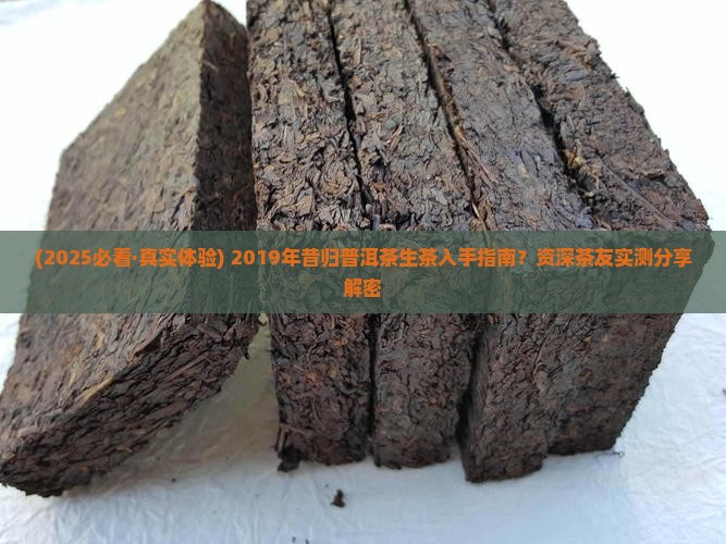 昔归普洱茶生茶2019年