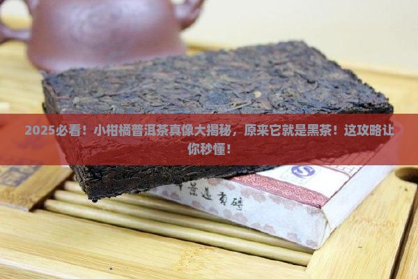 小柑橘普洱茶是黑茶