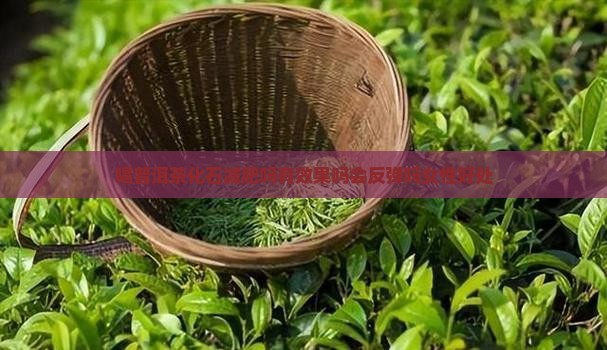 喝普洱茶化石减肥吗