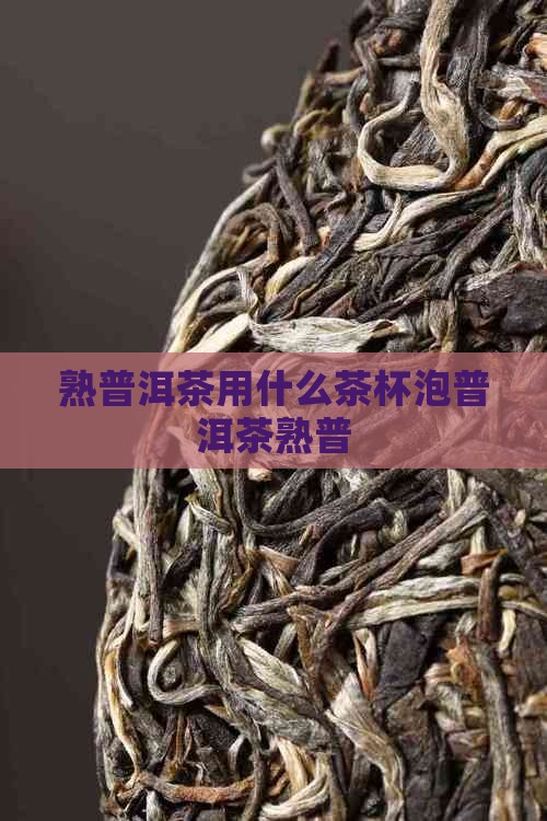 熟普洱茶用茶杯茶