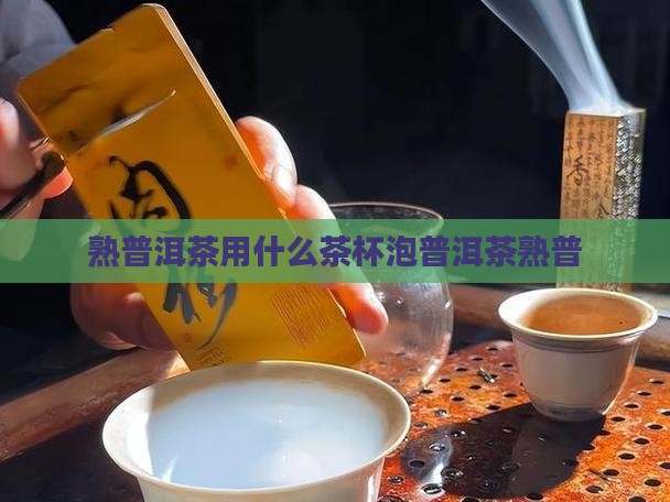 熟普洱茶用茶杯茶