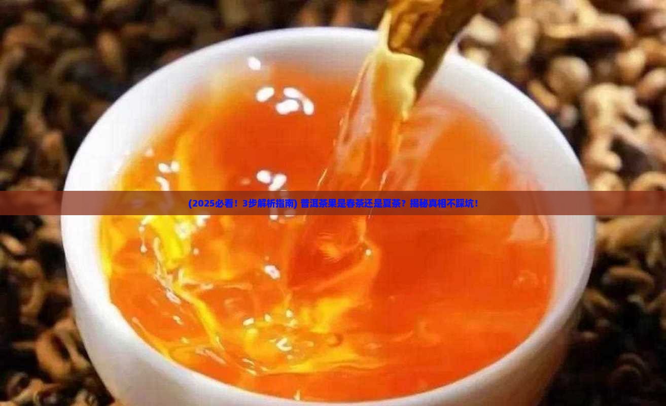 普洱茶有茶果是春茶吗还是夏茶