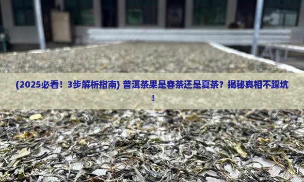 普洱茶有茶果是春茶吗还是夏茶
