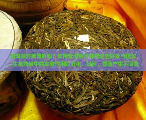 普洱茶对脾胃好吗 普洱茶对脾胃好吗