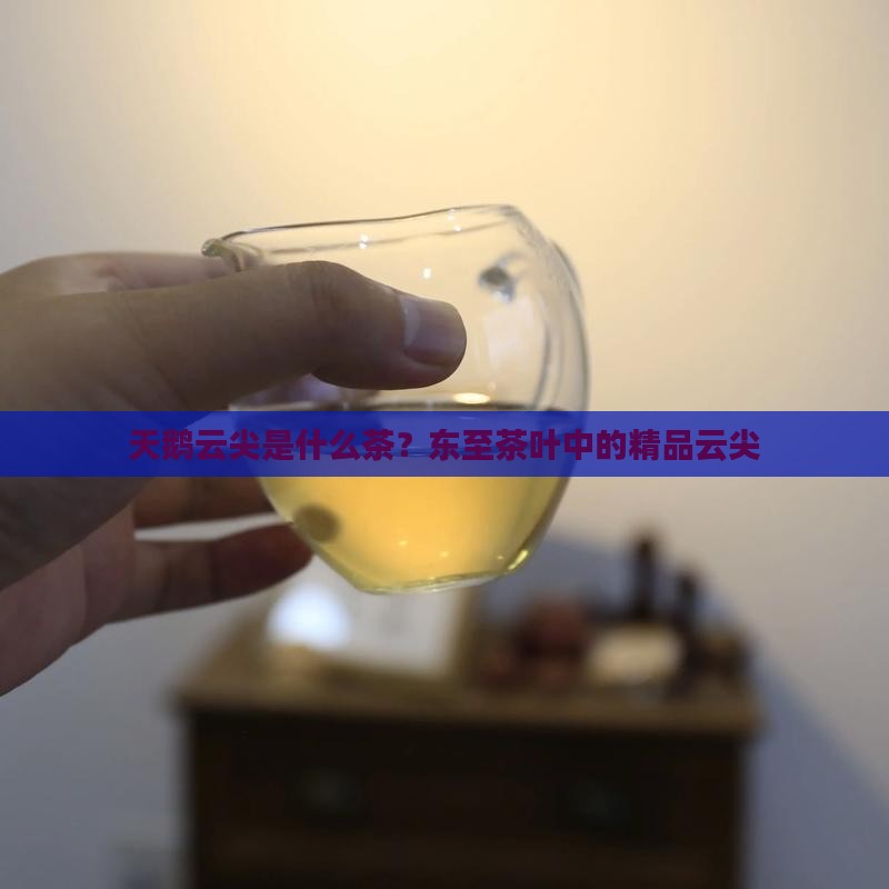 天鹅云尖是什么茶