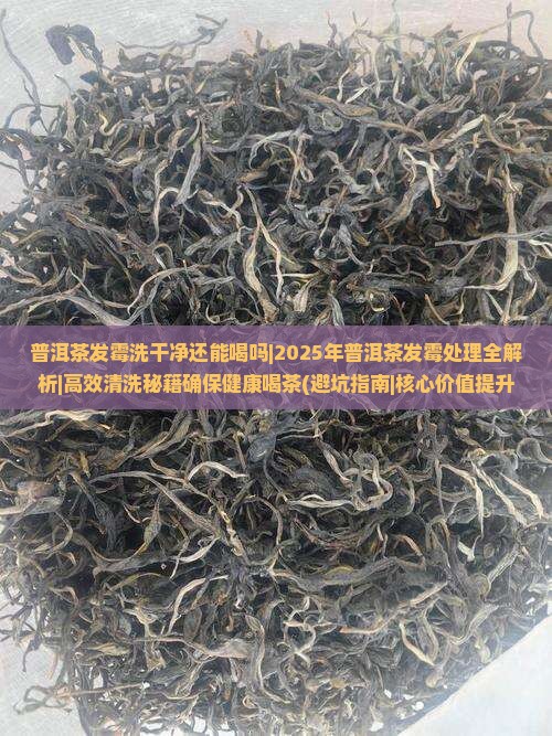 普洱茶发霉洗干净还能喝吗 普洱茶发霉洗干净还能喝吗