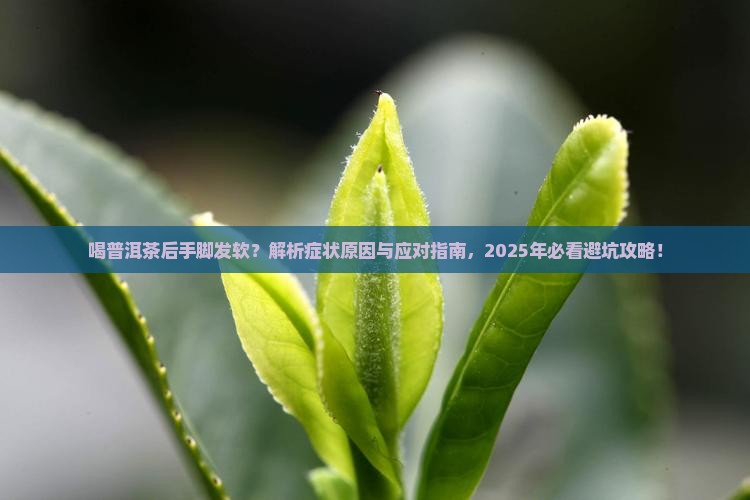 喝普洱茶后手脚发软