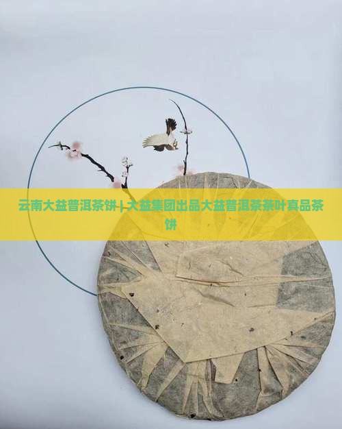 云南大益普洱茶饼