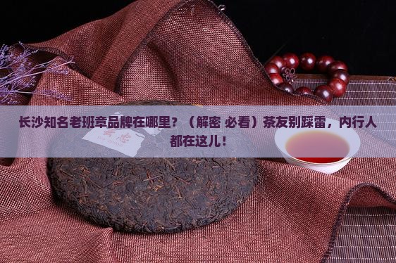 长沙知名老班章品牌在哪里