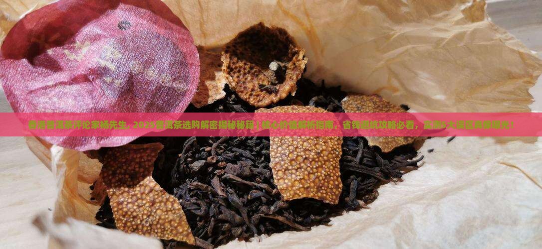 香港普洱茶评论家杨先生