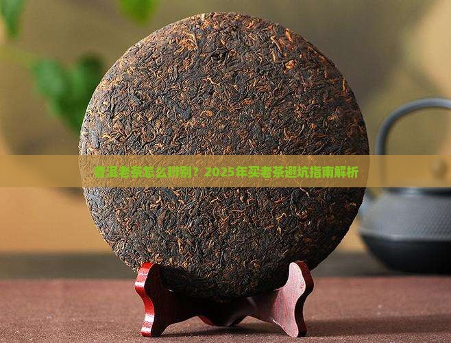 普洱茶老茶有什么